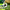 Garden Sprinkler Large Coverage Lawn Sprinkler Irrigation System Outdoor Garden Patio Courtyard Water Sprayer Gardening Watering