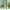 Greenhouses Outdoor Cold Frost Wind Proof Greenhouse Practical Greenhouse Cover Gardening Plant Protective Cover for Flower Room