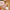 1 kitchen quadruple rice meat dumpling machine fish meatball household mold plastic spoon meat filling processing - Tropical Treasures LTD
